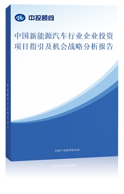中國新能源汽車行業(yè)企業(yè)投資項目指引及機會戰(zhàn)略分析報告
